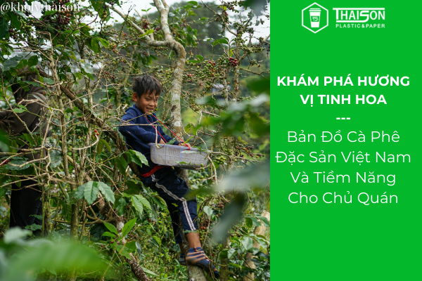 Bản Đồ Cà Phê Đặc Sản Việt Nam Và Tiềm Năng Cho Chủ Quán