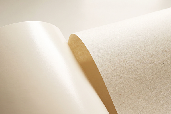 Khám phá đặc tính giấy Ivory là gì cùng độ cứng chịu lực uốn cong vô địch và hiệu ứng in ấn sắc nét.