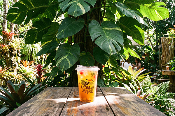 Thiết kế quán cafe sân vườn đẹp phong cách Tropical nổi bật với mảng xanh nhiệt đới, kết hợp hoàn hảo cùng ly nhựa và dịch vụ in logo ly nhựa.